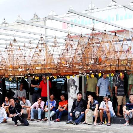 腾讯天堂1官网怎么用？怀旧服入口/礼包/搬砖攻略一文搞定