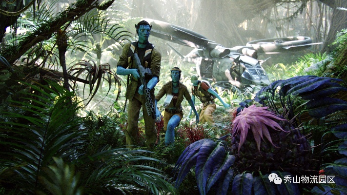 2026阿凡达下载地址该怎么选？正版渠道、资源类型、避坑指南全解析