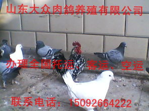 时间操控肉鸽《零秒:时光的归途》7月13日发售！首发加入XGP