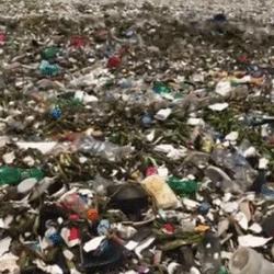 LOL冰桶挑战怎么玩出花样？英雄适配、实战套路+通关技巧全攻略