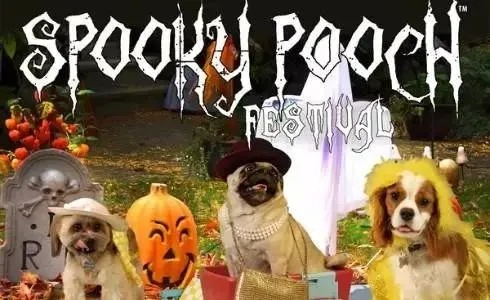 《Grave Seasons》8月14日发售 ，全新预告揭⽰“治愈系恐怖农场”玩法