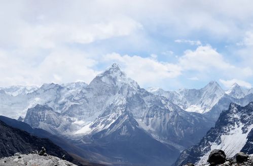 "雪山救狐狸"AI短片引爆50亿流量：创作初衷竟是宣传酱板鸭