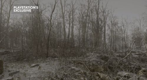 PS5独占新作叙事深度惊人！外媒:有望年度最佳？