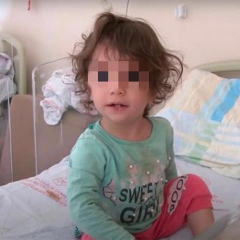 女童遭蛇咬反咬死蛇，独家辨蛇种技巧+户外防蛇急救实战全攻略