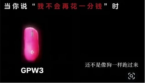 广告文案侮辱消费者像狗！罗技广告语惹众怒：道歉难熄怒火 多平台直播关闭