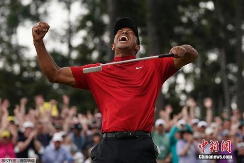 突发！世界顶级运动员、高尔夫巨星“老虎”伍兹被捕