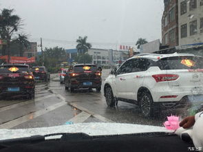 全球第一个！95后小伙结婚 用9辆吸粪车组成婚车队