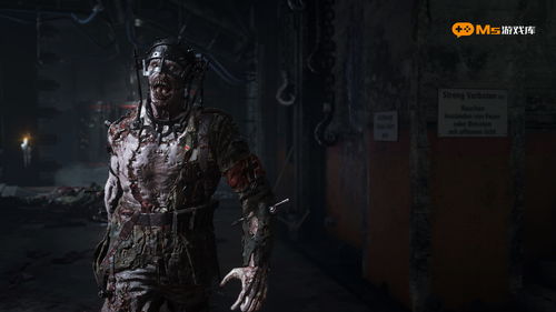 使命召唤14，二战全模式实战攻略，新手通关、上分、刷怪技巧全解析