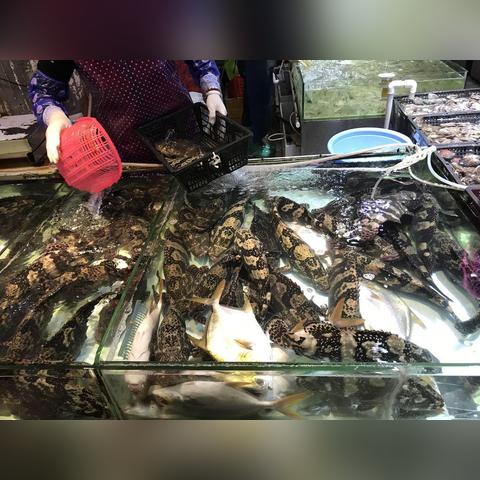 提10万现金买菜引热议？团采/大额民生采购避坑+合规+高效实操全攻略