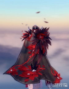 剑网3洛道任务怎么玩？冲声望、拿成就、触发奇遇的实战秘籍