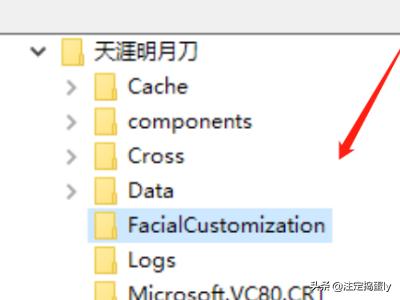 天涯明月刀捏脸数据怎么选？3大类型拆解+2026热门需求匹配，秒出爆款脸