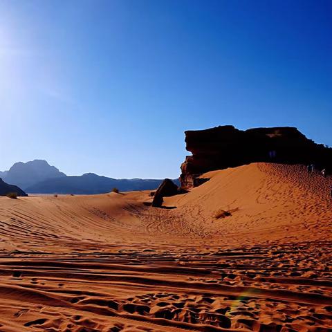 玩家向《红色沙漠》致敬：里面的美女身材丰腴火辣