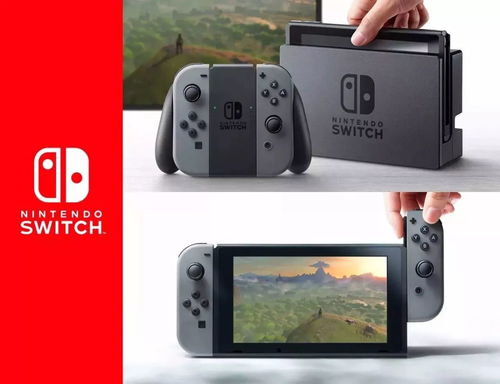 Switch吃灰四年照片引热议！日本网友晒长毛同款