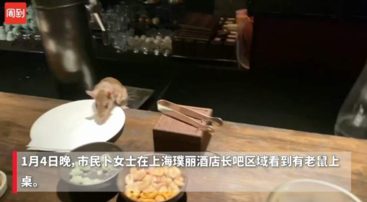 回转寿司店有老鼠在履带上奔跑！涉事品牌道歉