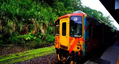 碧梨跟踪狂被列车撞死 事发时正在铁轨上或附近慢跑