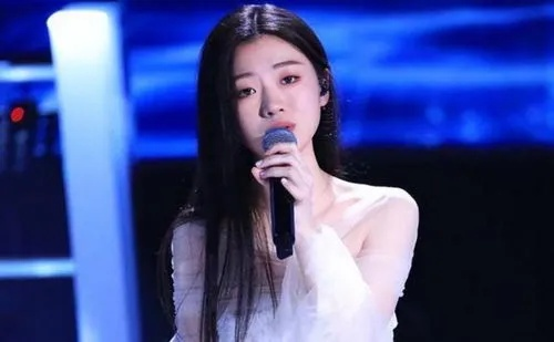 单依纯道歉！承认演唱会侵权演唱李荣浩《李白》