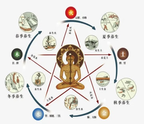 五行修业怎么选？全类型拆解+2026热门需求实战攻略