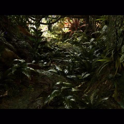 阿凡达重返潘多拉独家攻略，阵营抉择、极速升级、隐藏任务全解析