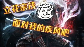 如何在仁王里从萌新变奈落狱霸主？新手避坑/BOSS速杀/毕业Build全攻略
