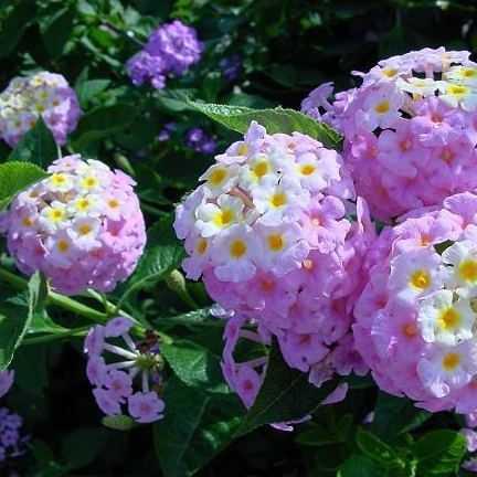 WOW装备掉落类型全解析，含冷门机制，匹配毕业装、幻化与小号成型的高效攻略