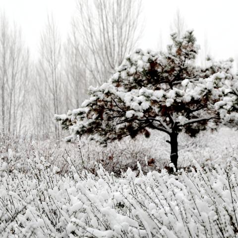 暴雪校园行武汉站独家攻略，报名、限定福利、专属玩法全解锁