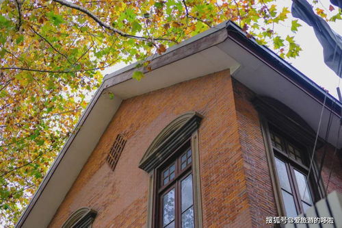 46万人围观反诈老陈解封复播！广告报价3万一条