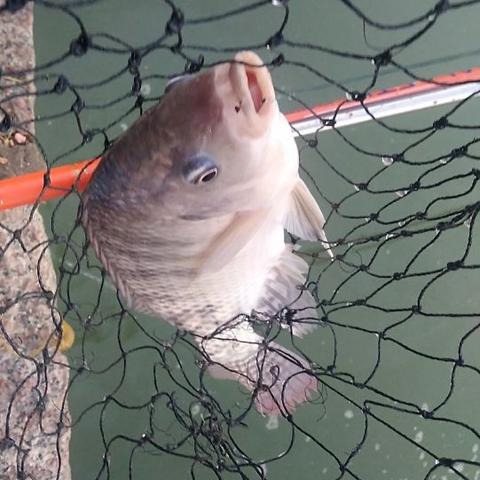 《漫漫长夜》最终章发布 开发商暗示故事仍在继续