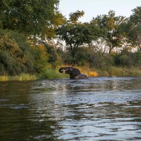 魔幻大陆官网全解析，新手必拿隐藏礼包+职业进阶独家指南