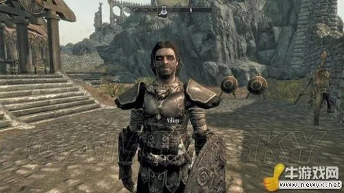 上古卷轴5怎么选队友？全类型解析+热门需求精准匹配指南