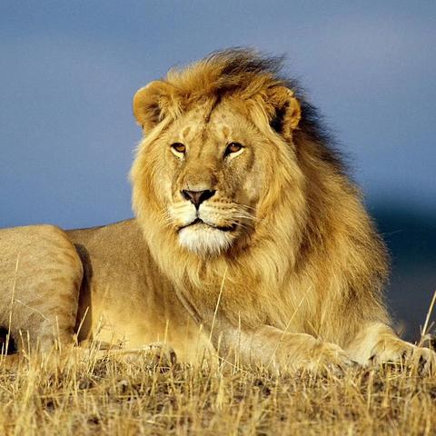 《守望先锋》新英雄首曝！官方：不是愚人节 真没骗你