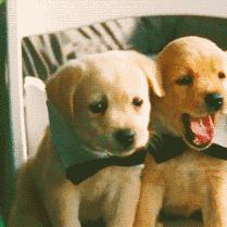 晕血男子切到手边晕边爬去医院 网友：对不起有点好笑