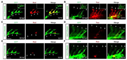 Epic大裁员裁断大动脉？虚幻引擎相机系统关键工程师也被裁