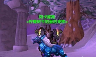 魔兽世界LR稀有宝宝怎么选？全类型解析+热门需求匹配+抓宠实战干货