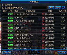 安图恩力量类型硬核解析，匹配热门需求的DNF团本攻坚实战指南