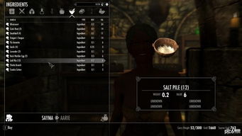 上古卷轴4，湮没怎么玩到天花板？MOD整合、隐藏神器、属性速刷全解析