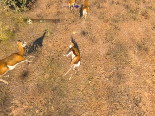 独家坎贝拉狩猎探险硬核指南，新手速成、高阶技巧+热门猎物专属打法（2026）