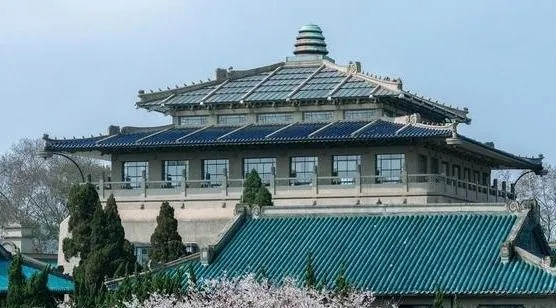 武汉大学校门上跑火车？独家揭秘全国罕见校园基建真相与校方权威回应