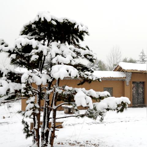 暴雪校园行武汉站独家攻略，抢票通道、专属福利、赛事彩蛋及职业互动全解析