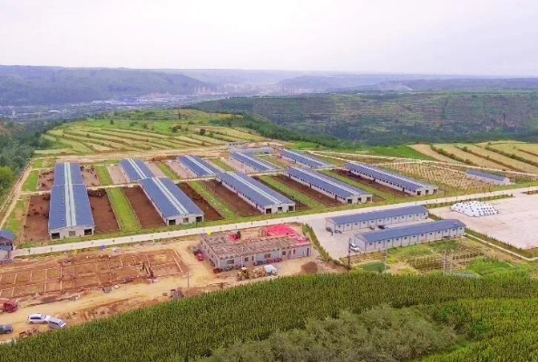 泾川新闻怎么找对味？文旅/民生/产业3大类拆解，匹配你要的实用内容