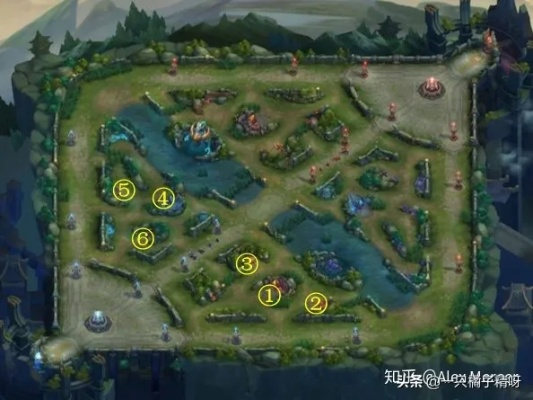 打野帝Stonewall硬核野区逻辑，新手如何复刻S14版本的节奏掌控力？